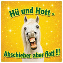 50 Aufkleber „Hü und Hott“